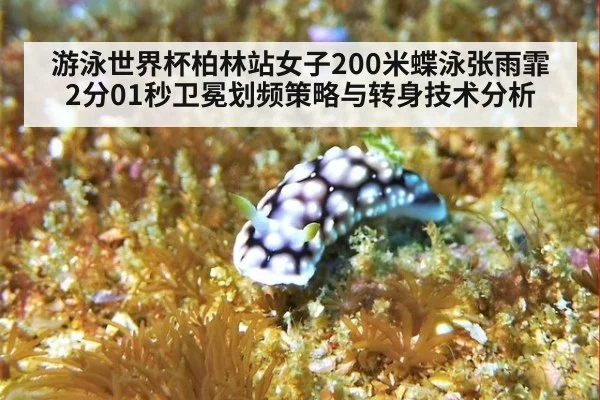 游泳世界杯柏林站女子200米蝶泳张雨霏2分01秒卫冕划频策略与转身技术分析