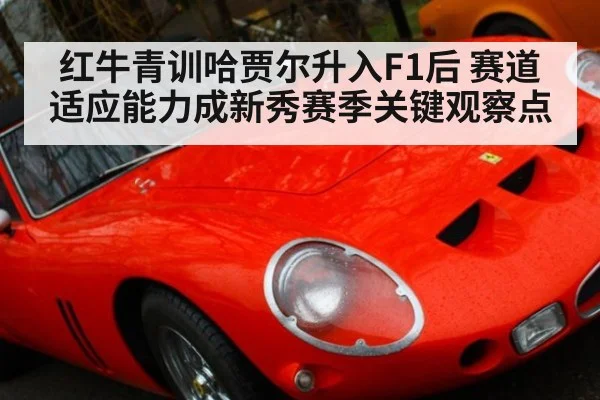 红牛青训哈贾尔升入F1后 赛道适应能力成新秀赛季关键观察点