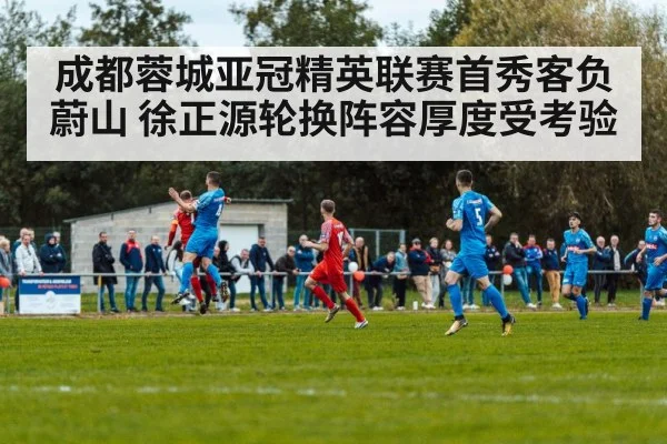 成都蓉城亚冠精英联赛首秀客负蔚山 徐正源轮换阵容厚度受考验